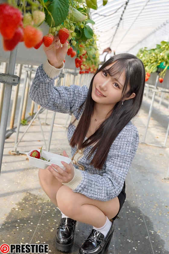 ABF-008鈴の家りん