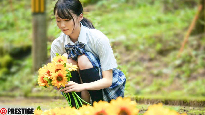 ABF-060美ノ嶋めぐり