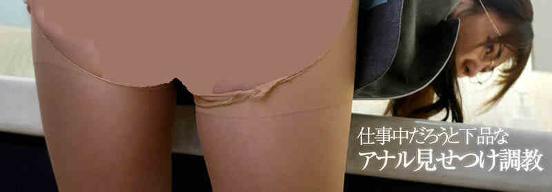 pred00772丝袜美腿OL